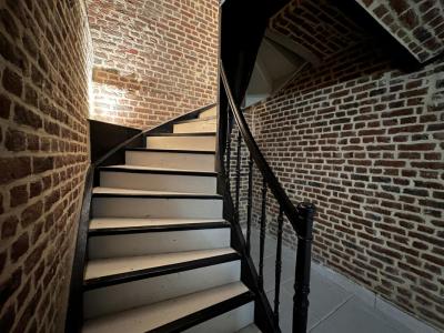 Annonce Location Appartement Lille 59