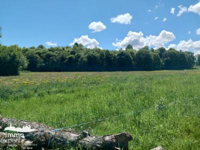 Annonce Vente Terrain Dompaire 88