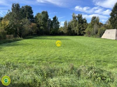 Annonce Vente Terrain Vernoy 89
