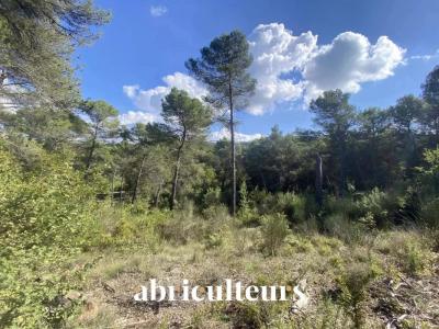 For sale Roque-d'antheron 2653 m2 Bouches du Rhone (13640) photo 2