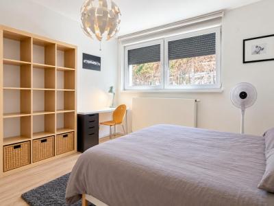 Acheter Maison Strasbourg 735000 euros
