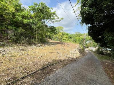 Annonce Vente Terrain Gosier 971