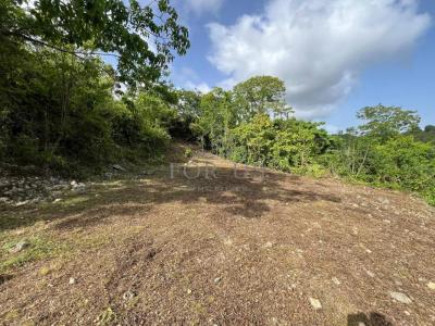 Acheter Terrain 1072 m2 Gosier