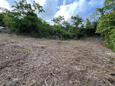 Acheter Terrain Gosier Guadeloupe