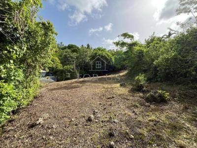 Acheter Terrain Gosier 97000 euros