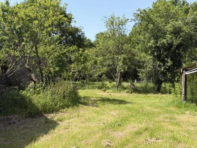 Annonce Vente Terrain Cellier 44