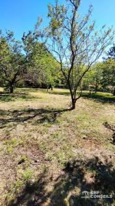 Acheter Terrain Veyre-monton 186680 euros