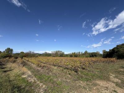 Acheter Terrain 306 m2 