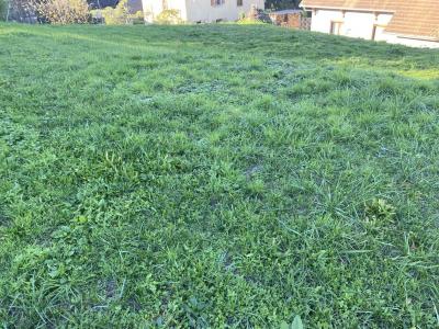 For sale Isere (38480) photo 2