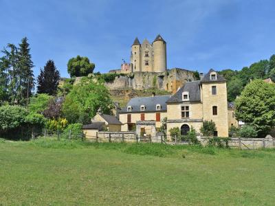 For sale Salignac-eyvigues 7 rooms 275 m2 Dordogne (24590) photo 0
