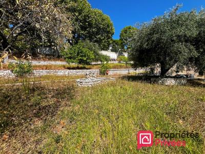 Annonce Vente Terrain Gaude 06