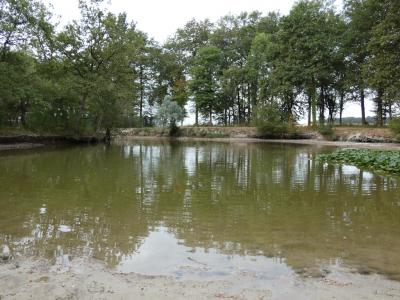 For sale Villeloin-coulange 13 rooms 638 m2 Indre et loire (37460) photo 4