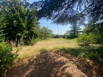 For sale Craponne 522 m2 Rhone (69290) photo 1