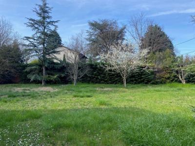 For sale Craponne 522 m2 Rhone (69290) photo 3