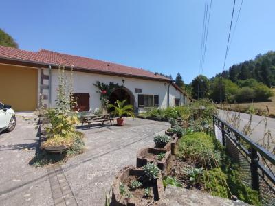 Life-annuity Faucogney-et-la-mer 6 rooms 123 m2 Haute saone (70310) photo 0