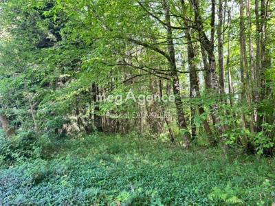 For sale Saint-leon-sur-l'isle 1800 m2 Dordogne (24110) photo 0