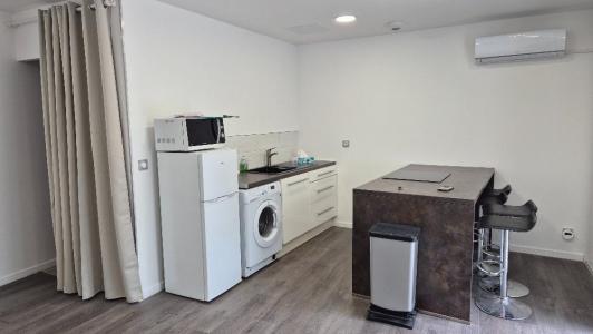 For rent Lagnieu 1 room 30 m2 Ain (01150) photo 3