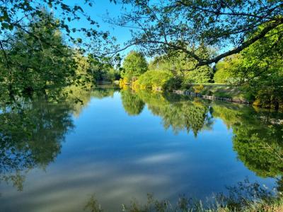 For sale Ouzouer-sur-loire 8 rooms 156 m2 Loiret (45570) photo 1