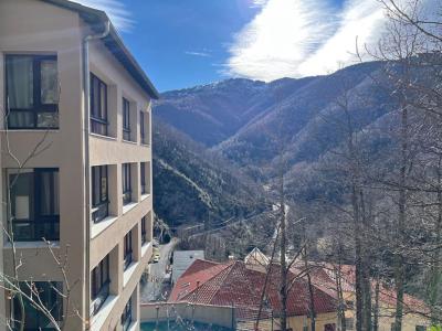 For sale Prats-de-mollo-la-preste 2 rooms 41 m2 Pyrenees orientales (66230) photo 0