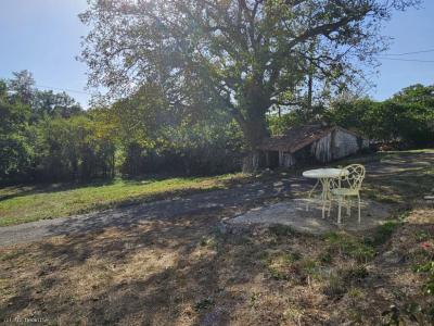 Acheter Maison 102 m2 Alloue