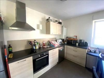 Annonce Location 2 pi�ces Appartement Belfort 90