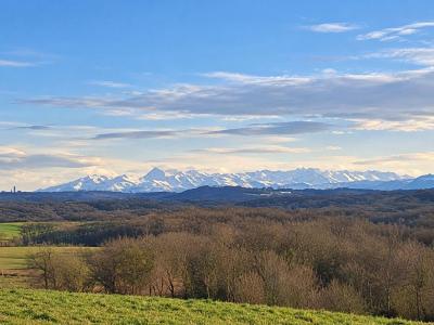 For sale Montfort-en-chalosse 5 rooms 102 m2 Landes (40380) photo 2