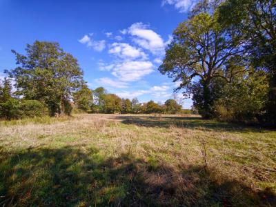 For sale Bazancourt 6 rooms 133 m2 Oise (60380) photo 2