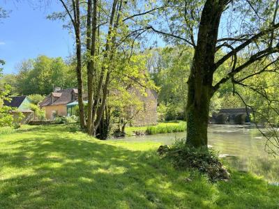 Acheter Maison 208 m2 Ruille-en-champagne