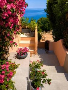 For sale Conca 1 room 25 m2 Corse (20135) photo 0