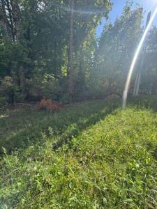 Acheter Appartement 52 m2 Gerardmer