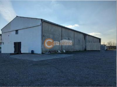 For sale Ambares-et-lagrave 762 m2 Gironde (33440) photo 0