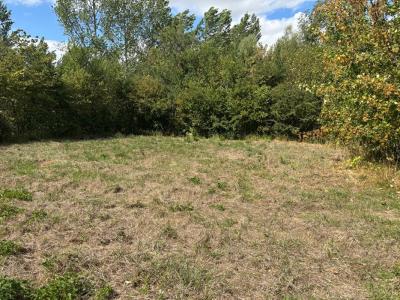 Acheter Terrain 1345 m2 Etrelles-sur-aube