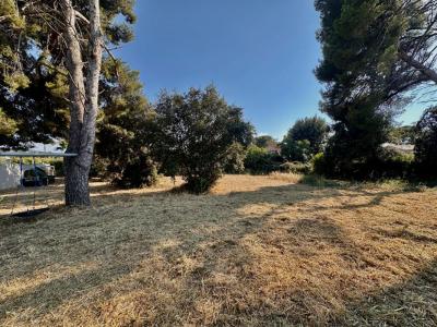 For sale Six-fours-les-plages 1052 m2 Var (83140) photo 3