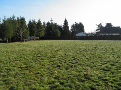 For sale Montrieux-en-sologne 2371 m2 Loir et cher (41210) photo 0