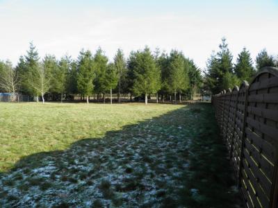 Annonce Vente Terrain Montrieux-en-sologne 41