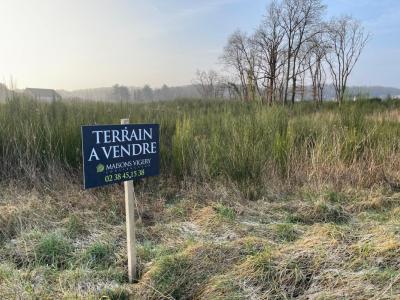 For sale Ingre 380 m2 Loiret (45140) photo 0