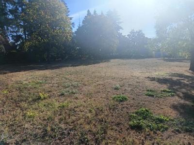 Annonce Vente Terrain Meung-sur-loire 45