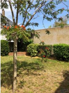 For rent Saint-nazaire 3 rooms 74 m2 Loire atlantique (44600) photo 1