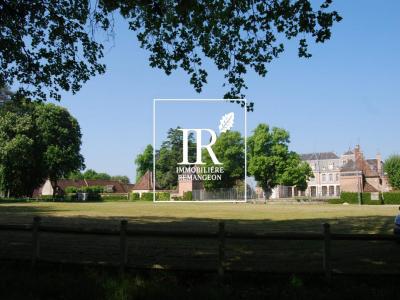 For sale Salbris 28 rooms 1330 m2 Loir et cher (41300) photo 0