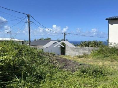 Acheter Terrain Saint-joseph 88000 euros
