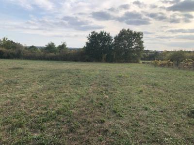 Annonce Vente Terrain Touches 44