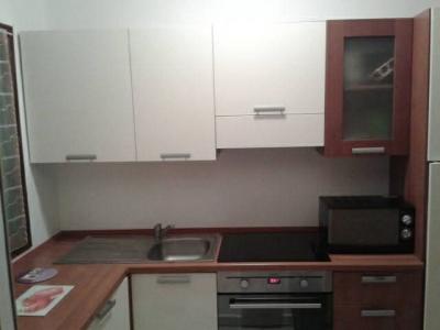 For rent Furiani 2 rooms 38 m2 Corse (20600) photo 0