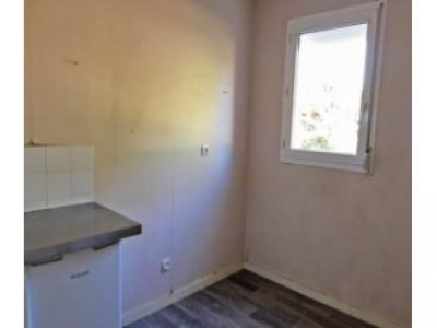 Annonce Location 2 pi�ces Appartement Gergy 71