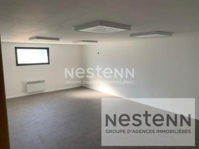 Annonce Vente Bureau Neung-sur-beuvron 41