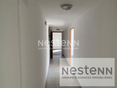 Acheter Bureau Neung-sur-beuvron Loir et cher