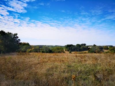 Annonce Vente 4 pi�ces Maison Bezolles 32