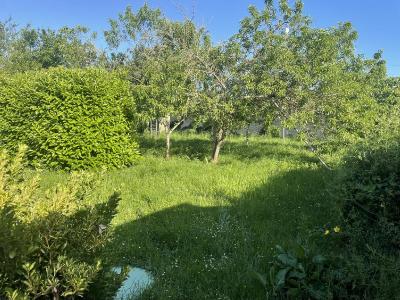 Annonce Vente 6 pi�ces Maison  61
