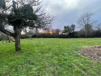 For sale 3 rooms 76 m2 Sarthe (72110) photo 2