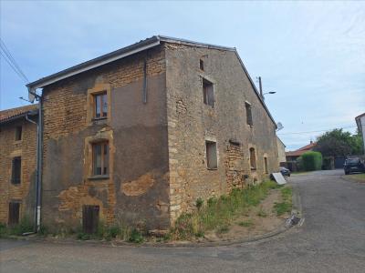 Annonce Vente Immeuble Baslieux 54