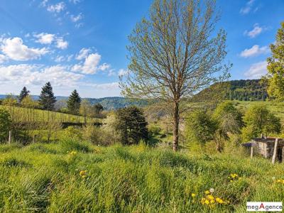 Acheter Maison 167 m2 Barre-des-cevennes